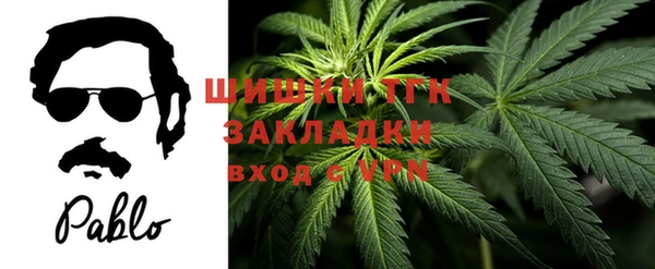 шишки Богородицк