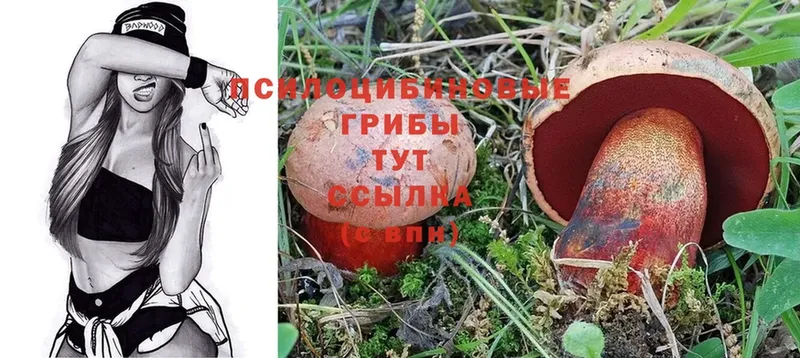 Галлюциногенные грибы MAGIC MUSHROOMS  Алдан 